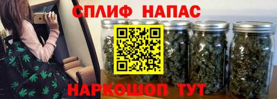 твердый Будённовск