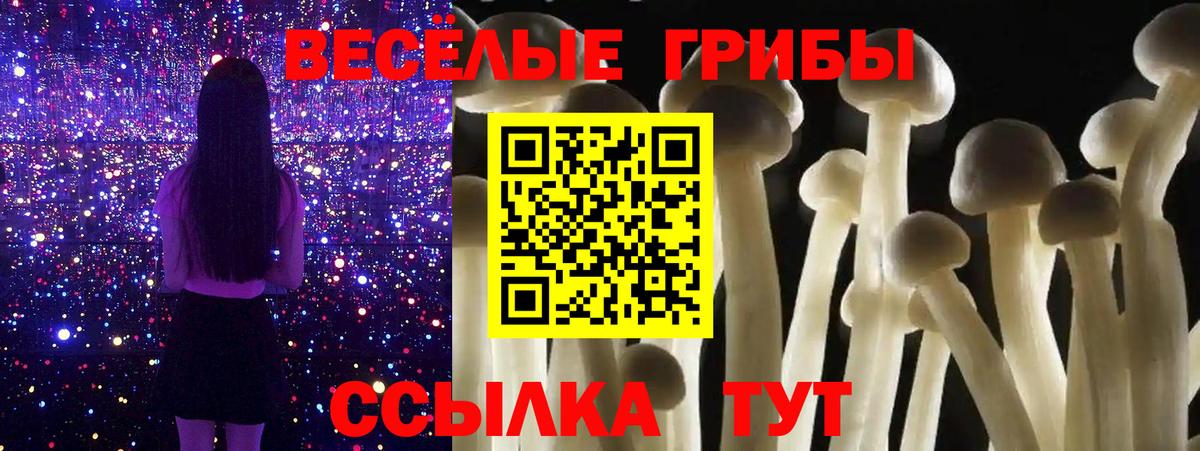 Мончегорск  Псилоцибиновые грибы Magic Shrooms  Вход с VPN 